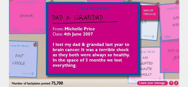 Screenshot taken from Flash file of digital backboards, showing message